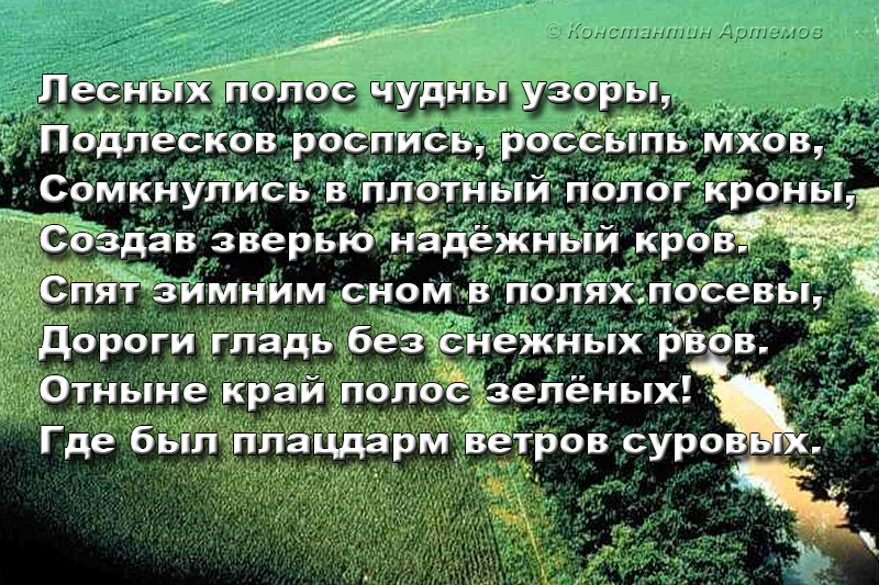 Лесных полос чудны узоры,
Подлесков роспись, россыпь мхов,
Сомкнулись в плотный полог кроны,
Создав зверью надёжный кров.
Спят зимним сном в полях посевы,
Дороги гладь без снежных рвов.
Отныне край полос зелёных!
Где был плацдарм ветров суровых.